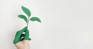 ENTORNUM REAL ESTATE INVESTMENT